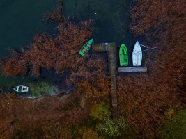 Jezioro Powidzkie zanieczyszczone?